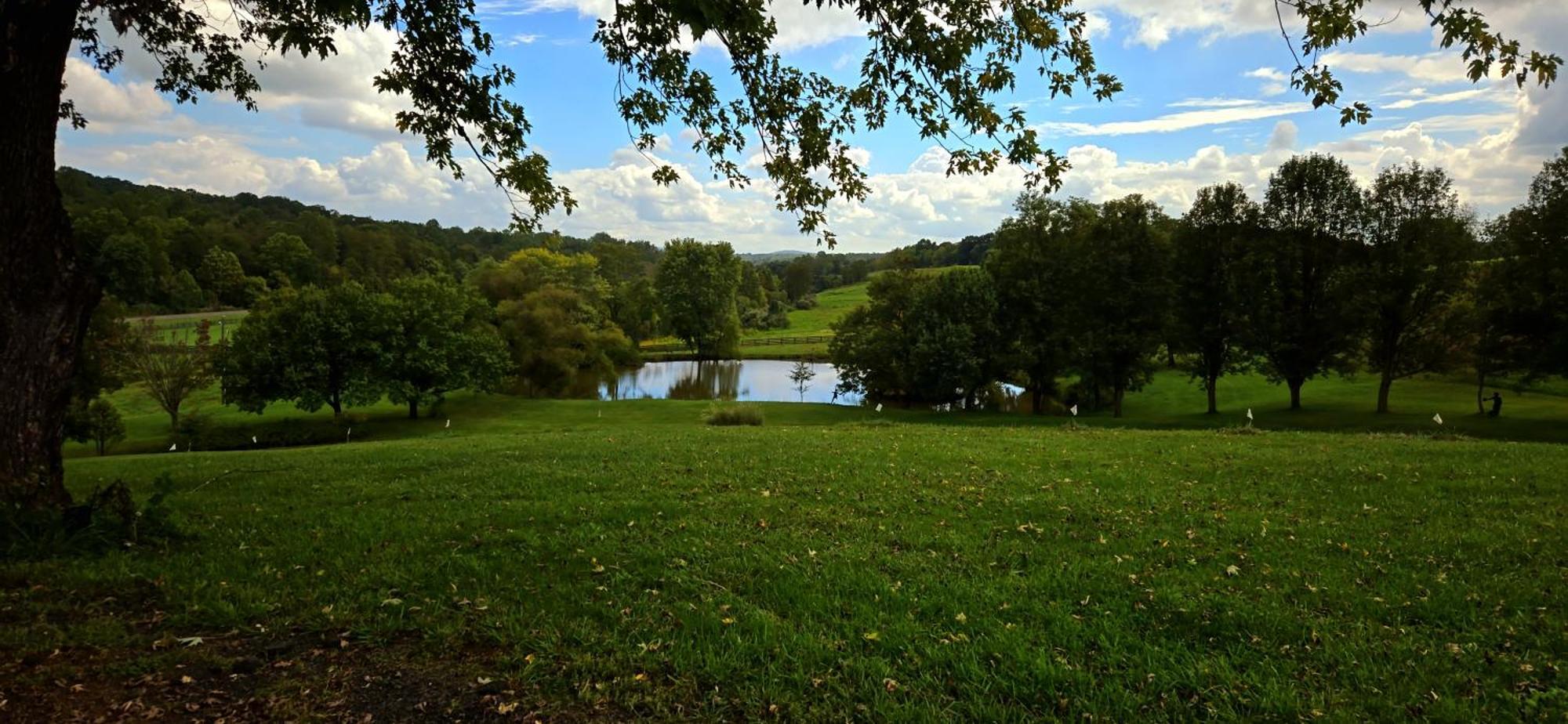 ホテル West Park Gardens カルペパー 部屋 写真